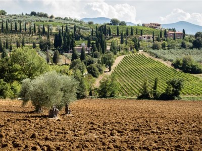Tuscany: The Countryside